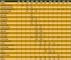 Flathead River Fly Fishing Hatch Chart & Fly Patterns