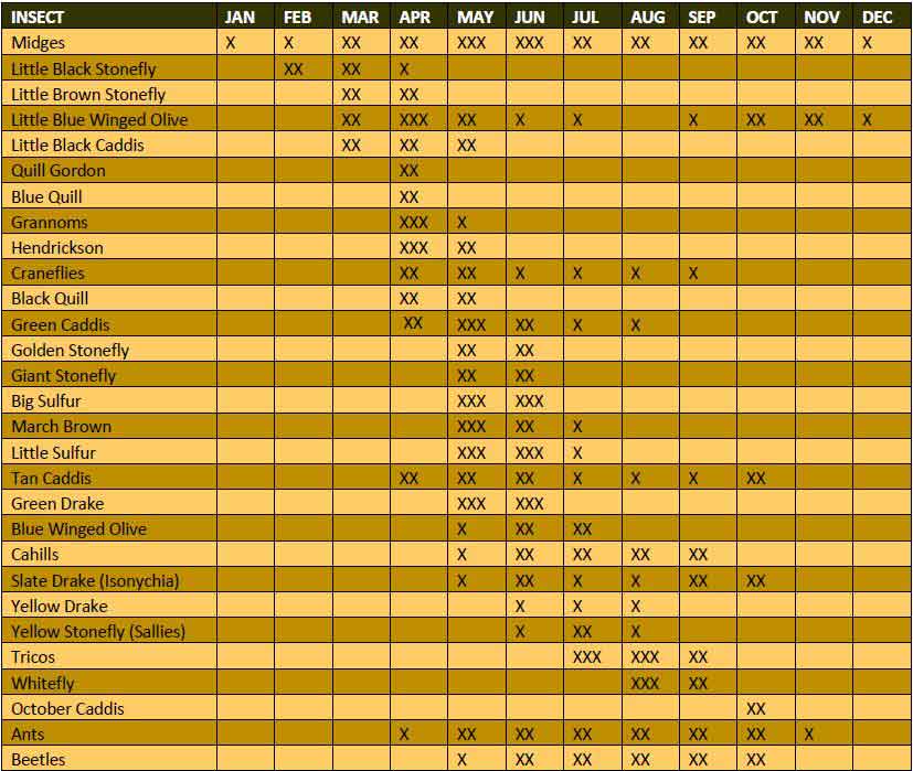 Pennsylvania Fly Hatch Chart