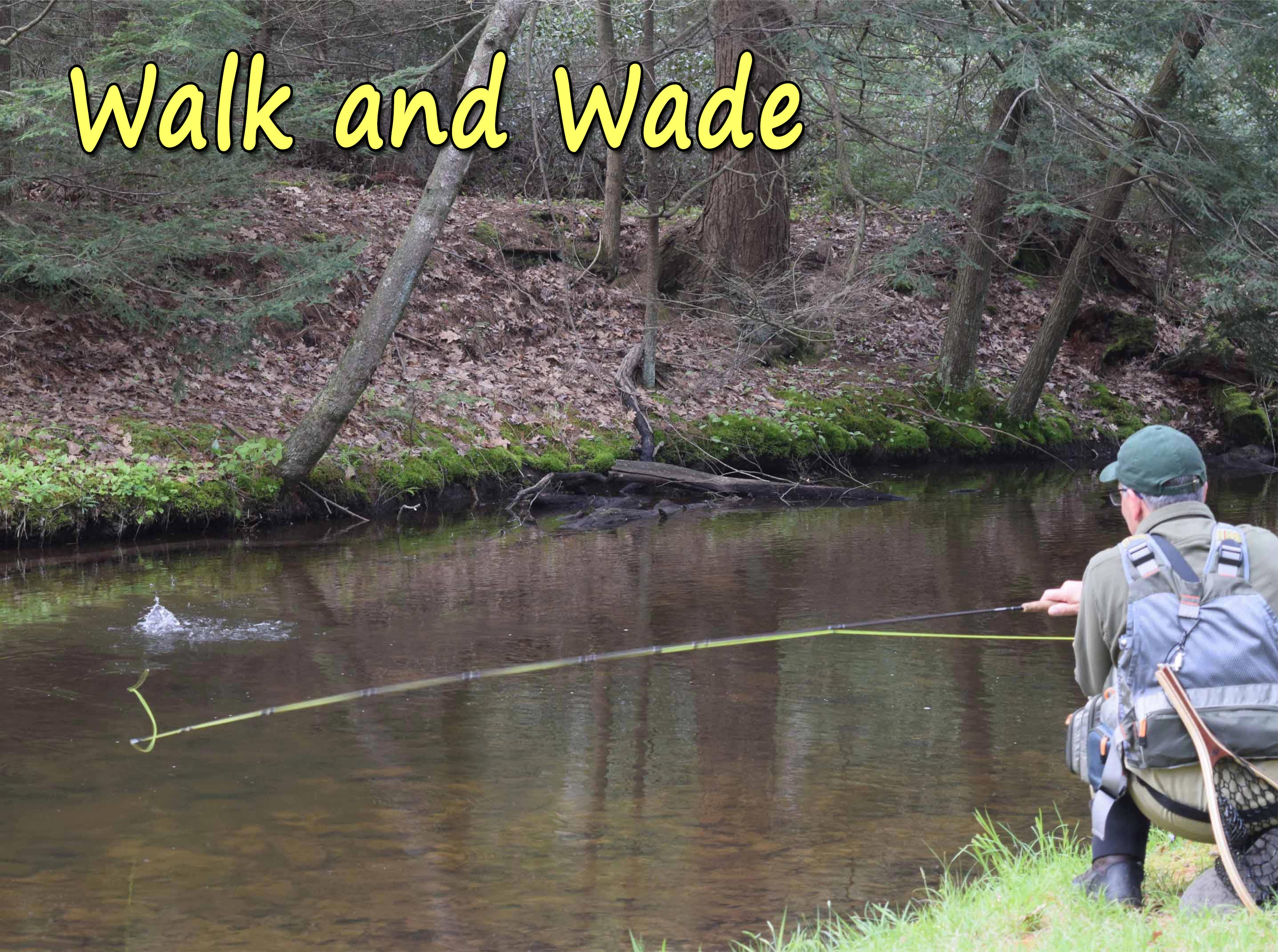 Walk and Wade Fly Fishing Day Trips on Penns, Spring, Pine, Kettle, Little Juniata, Lehigh, Tulpehocken, Manatawny, Pohopoco and Lackawanna River just to name a few of the stream we guide on in PA