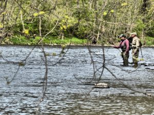 Sky Blue Outfitters Guide Service Pennsylvania Hatch Chart And Stream  Reports for Fly Fishing Penns Creek, Lehigh River, Spring Creek, Pine Creek