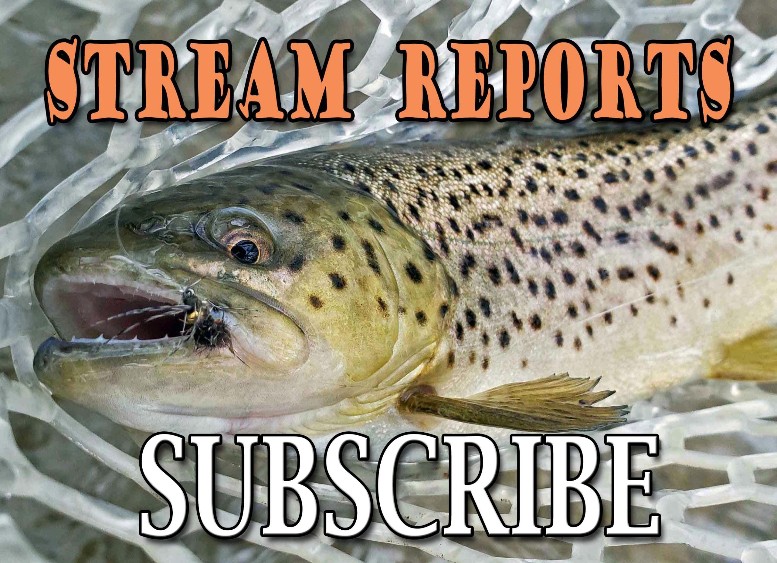 2023 STREAM REPORTS HAVE STARTED! Get Local UP TO DATE Stream Reports For Central, Eastern PA, Lehigh River And Susquehanna River . Sign Up To Receive Our Newsletter