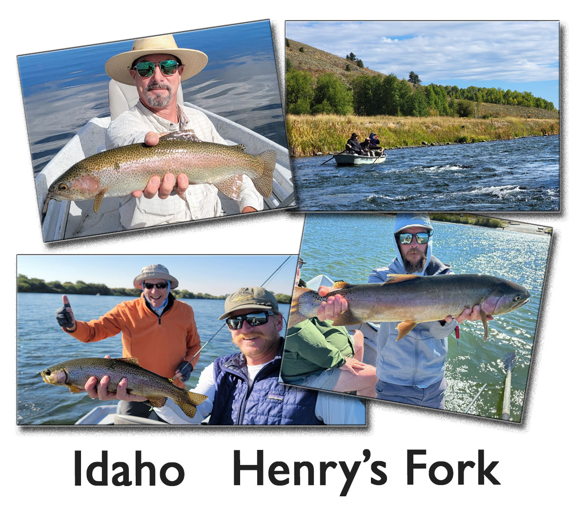 Come Enjoy Some  Excellant Fishing On The Henry's Fork. Two Weeks To Choose From in September, 2024.