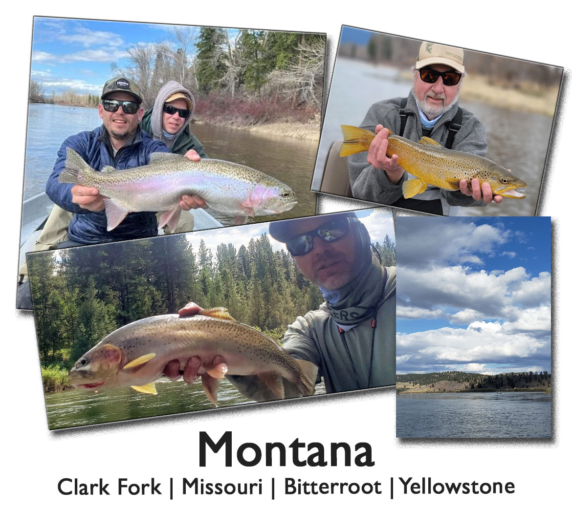 Join Us On One Of Our Trips To Montana. Drift The Yellowstone, Clark Fork, Bitterroot, Blackfoot Rivers. September 2024.