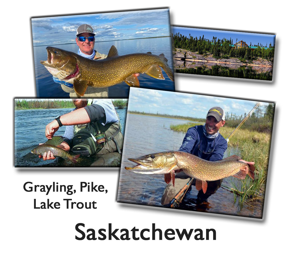  Very Remote Fishing In Northern Saskatchewan, July 2024. Pike Fishing And Grayling Fishing At Its Best! Check It Off The Bucket List.