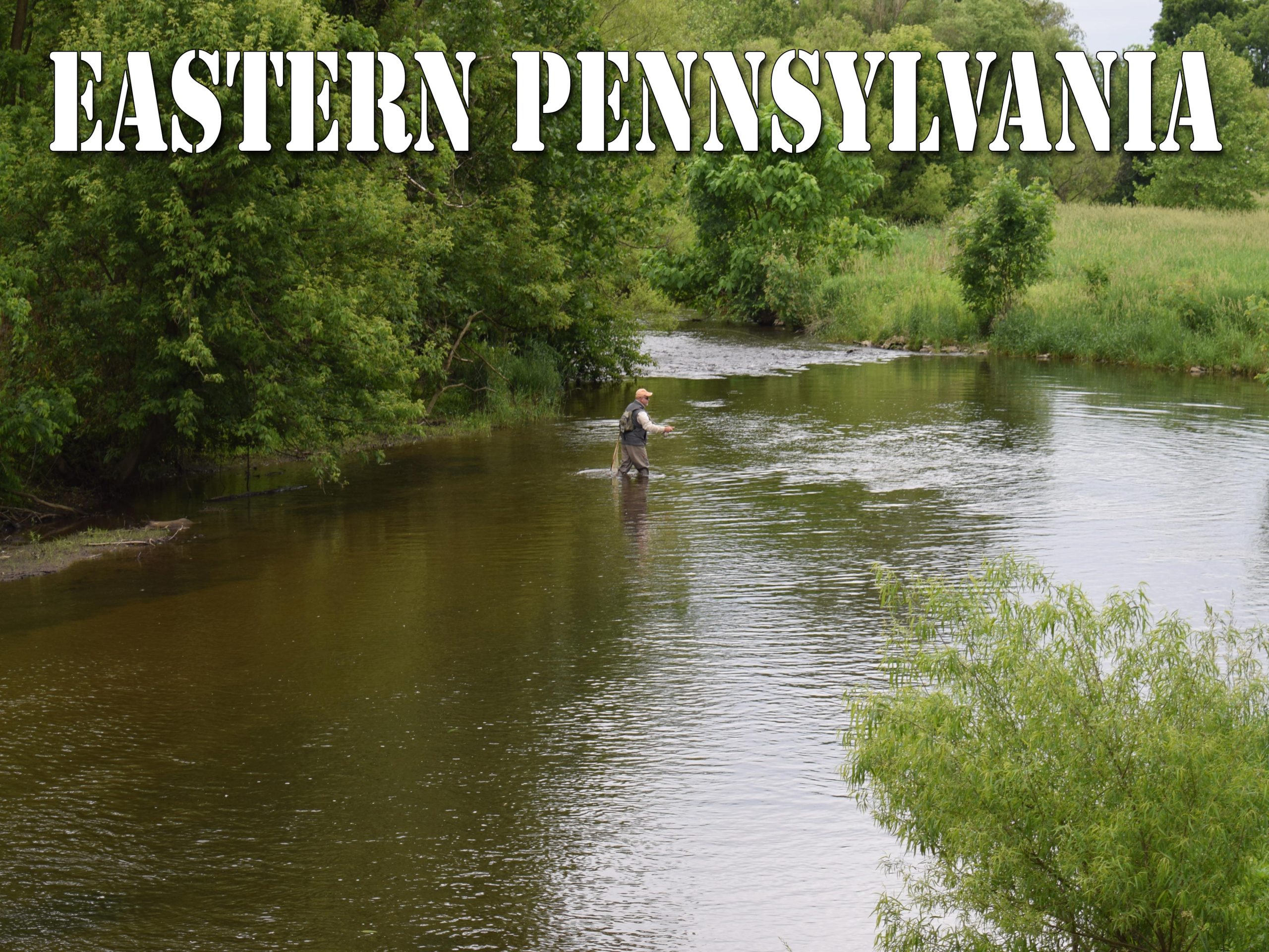 Boat Fishing Trips in Pennsylvania - Top Water Trips