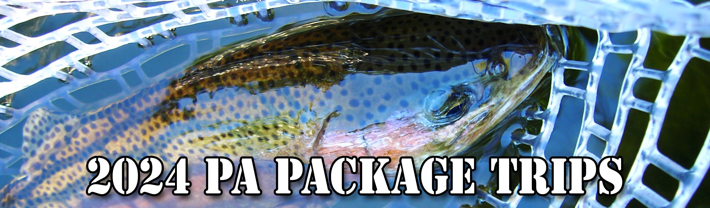 Hendricksons, Grannoms, Caddis, Cahills, March Browns, Sulphurs, And Green Drakes,. We Have One, Two And Three Night Package Trips On Penns, Little Juniata, Spring, Kettle, Pine, Little Pine Creeks.