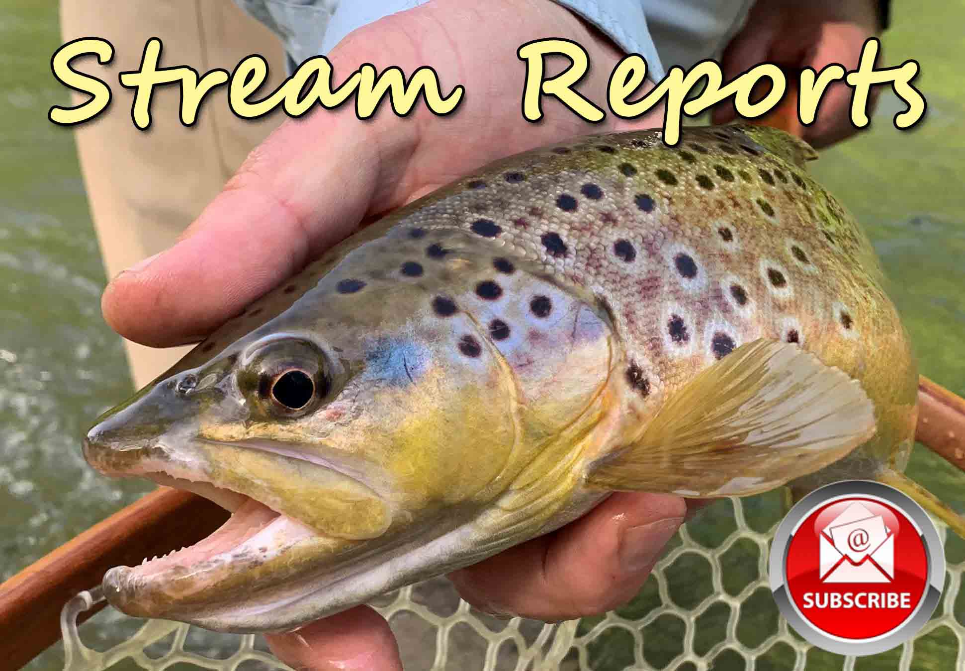 Get Local Stream And Fishing Reports For Central PA, Eastern PA, Lehigh And Susquehanna River. Sign Up To Receive Our Newsletter. 