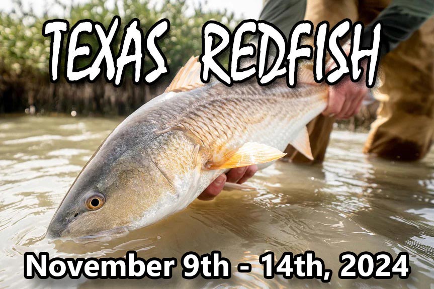Join Us In November On Our Trip To Southern Texas For Redfish, Black Drum, And Speckled Trout. Four Days Of Guided Fishing Over 30 Miles Of Pristine Largely Undeveloped Flats And, Shorelines.