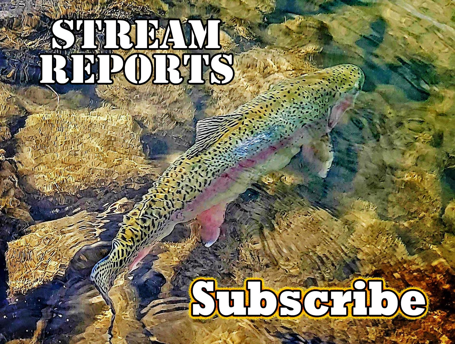 Get Local Stream And Fishing Reports For Central PA, Eastern PA, Lehigh And Susquehanna River. Sign Up To Receive Our Newsletter. 