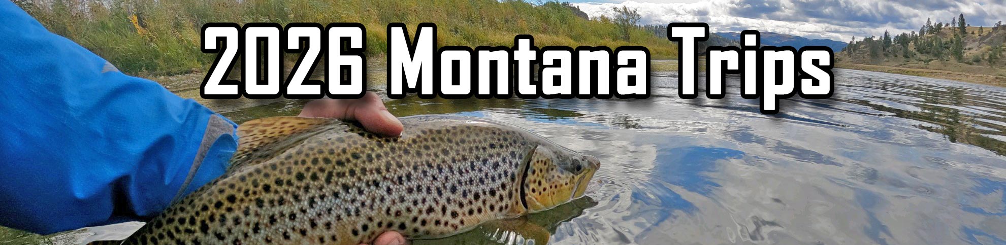 We Do Several Trips A Year To Montana, In June and September. Rock Creek, Missouri, Clark Fork, Bitterroot, And The Blackfoot. Stoneflies In June, And Hoppers In September.