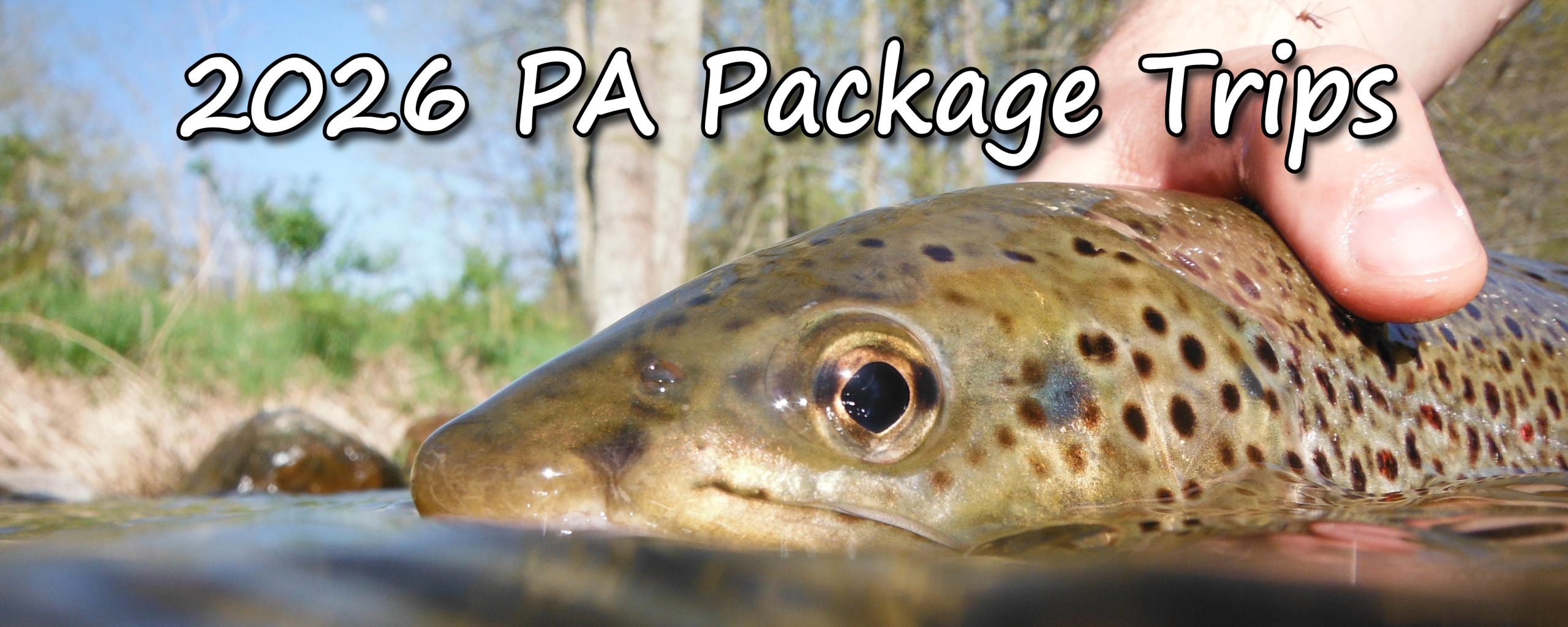 NOW BOOKING 2026 TRIPS. Come Enjoy Fishing The State College Area, Penns, Spring, Little Juniata, And Big Fishing Creek.