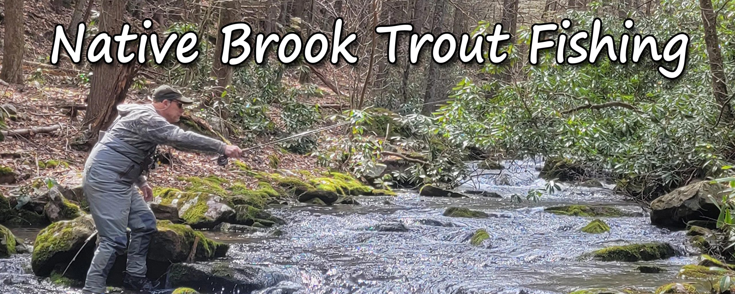 Ask Us About Our Native Brook Trout Fishing Trips. Enjoy A Day Out Or An Overnight Packaged Trip Pursuing These Small Gems Of PA.